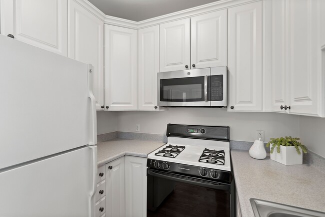 Building Photo - 349 Commercial Ave