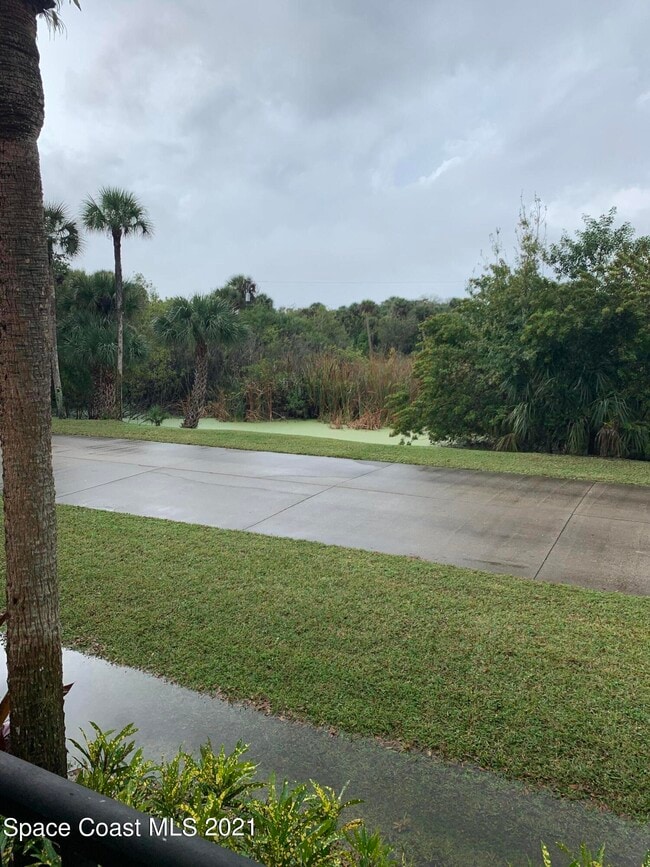 Building Photo - 4135 Cedar Creek Cir