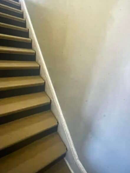 Building Photo - 1573 Mary St