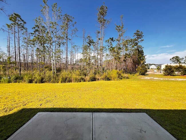 Building Photo - Welcome To The Preserves At Hiltonhead Lakes