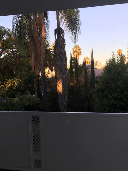 Building Photo - 5711 Carlton Way