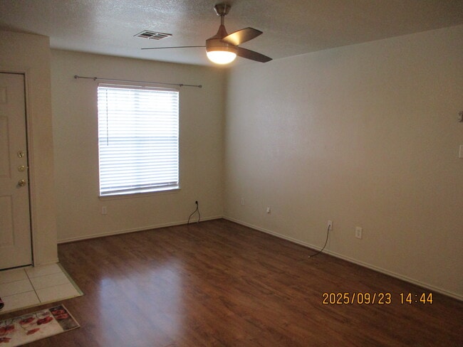 Building Photo - 163 Armadillo Ln
