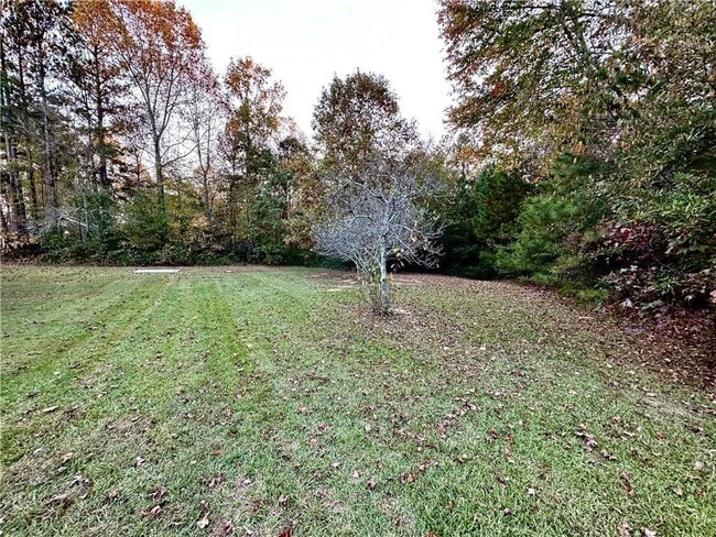 Building Photo - 1432 Lumpkin Campground Rd S