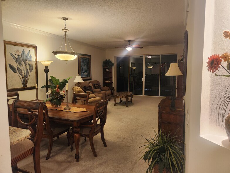Living room - 425 Pierce Ave