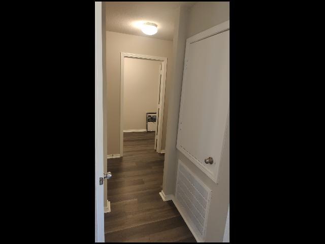 Building Photo - 10413 Lori Kaye Dr