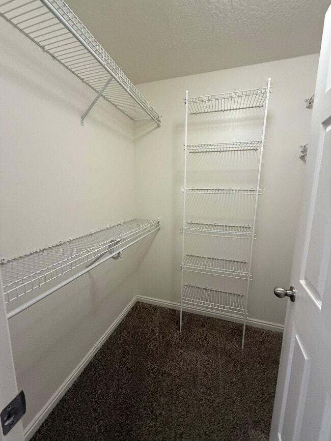 Building Photo - 10542 Sage Flats Way