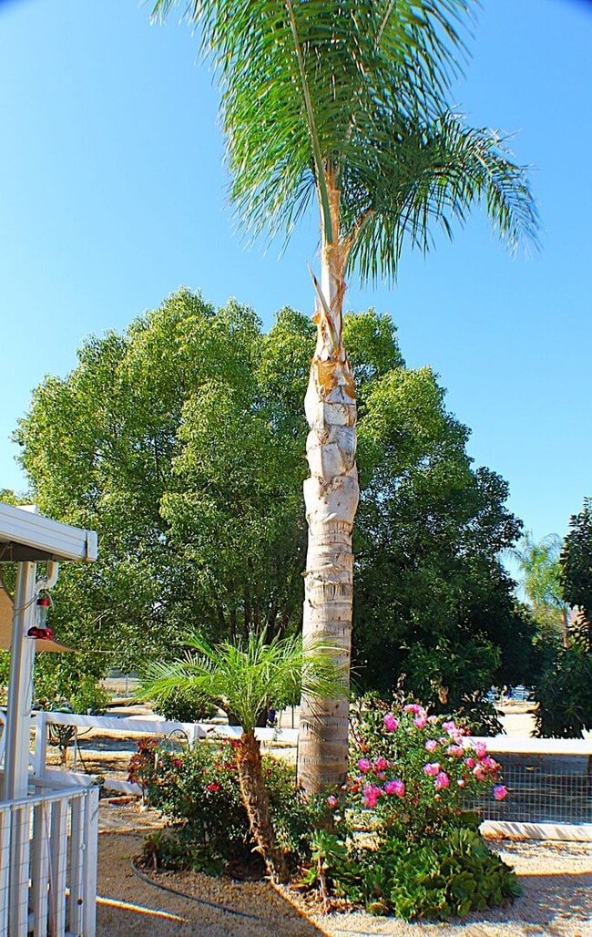 Building Photo - Spacious Ranch-Style Home on Half Acre wit...