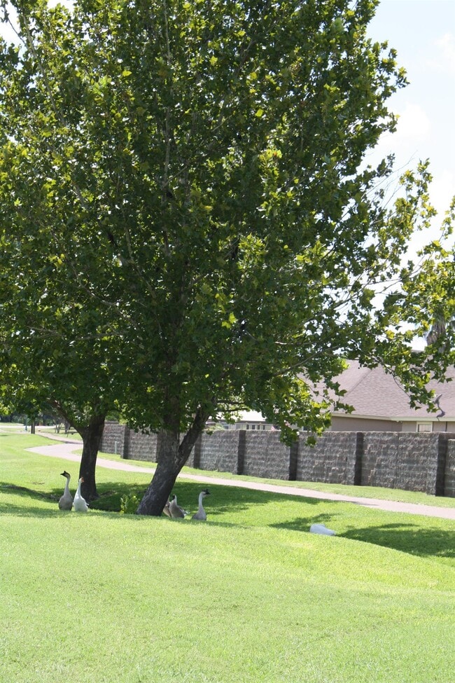 Building Photo - 503 Pine Sisken St