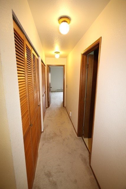 Building Photo - 2 Bedroom Condo on a Lake!