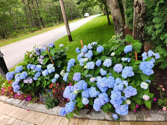 Building Photo - 99 Spinney Rd