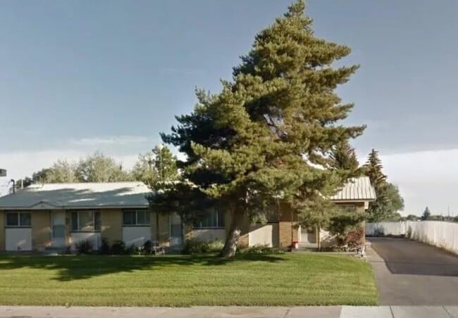 Primary Photo - 871 1st St