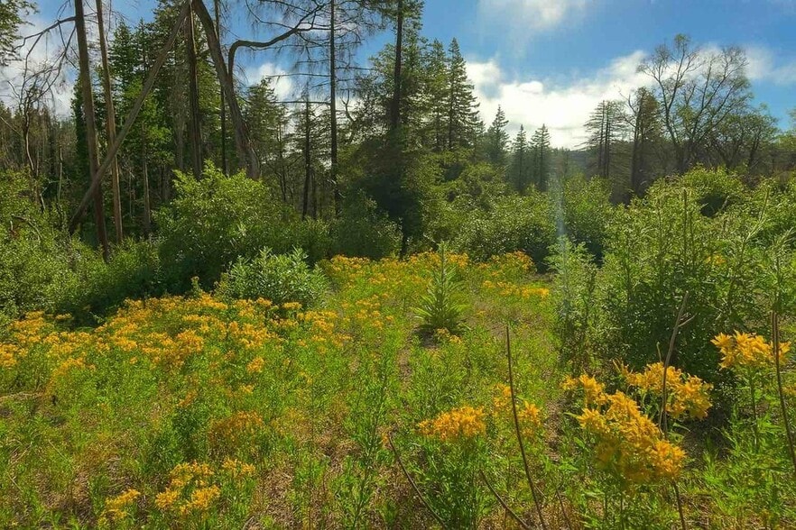 Building Photo - 297 Robles Dr