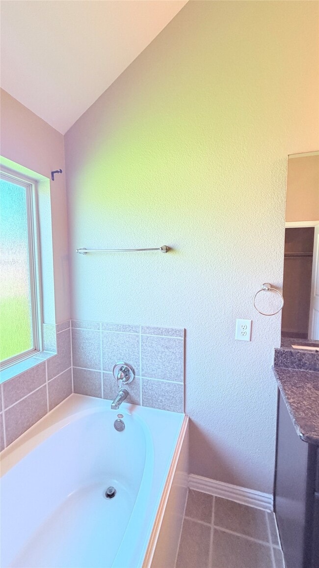Building Photo - 16627 Fiesta Rose Ct