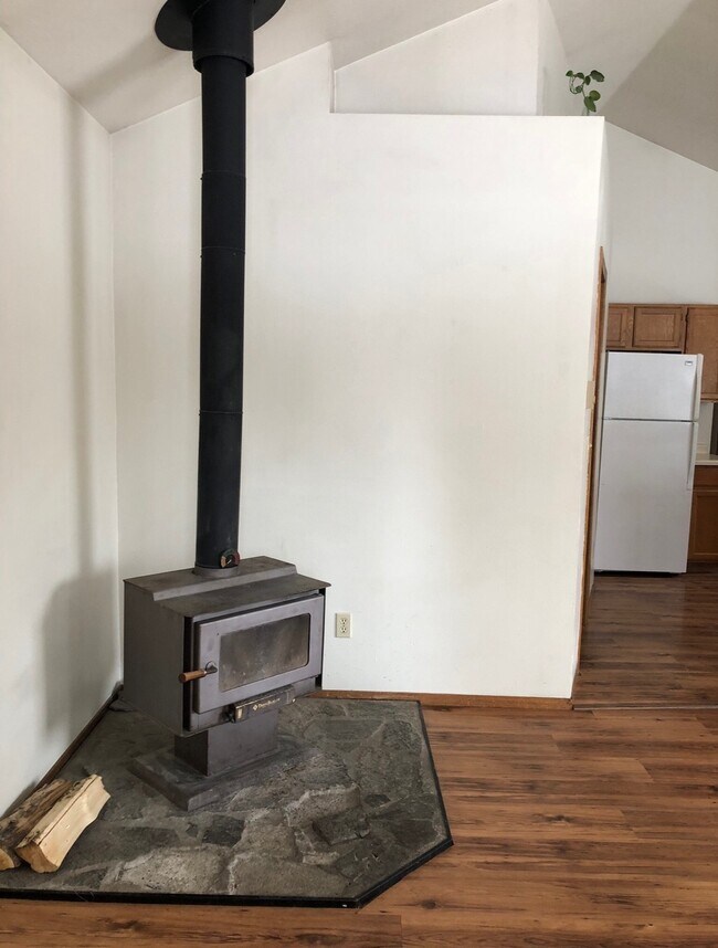 Wood burning stove - 518 N Black Ave