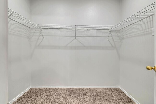 Building Photo - Spacious 3 Bedroom Home in Olympia