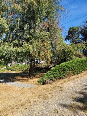 Building Photo - Remodeled 3 bed/2 bath in High Point/West Seattle with large fully fenced yard now at $2850!