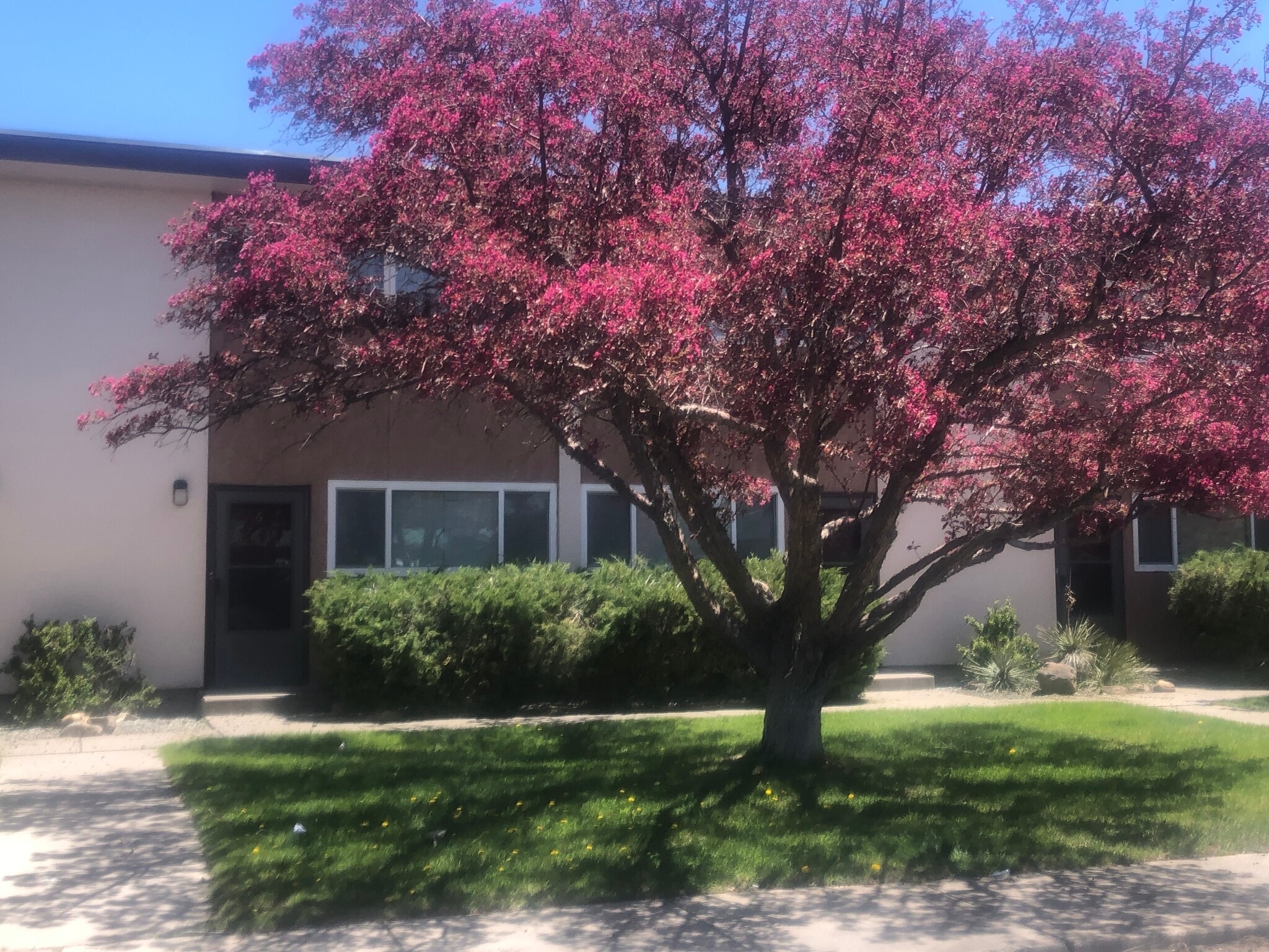 Building Photo - 106 Pike Ave