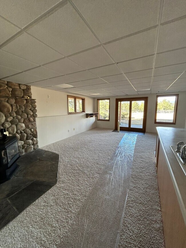 Building Photo - Spacious Daylight Apartment in Hamilton