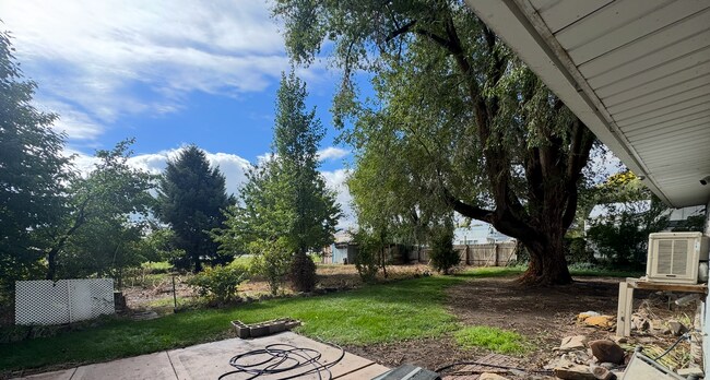 Building Photo - Cute Lehi rambler with tons of yard space and trees!