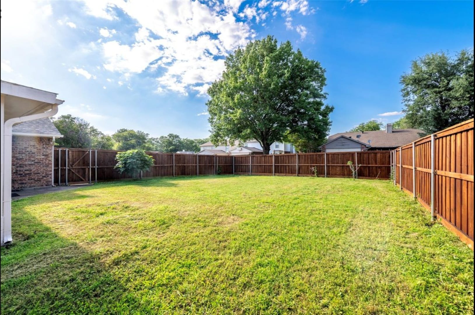 Backyard - 543 Guadalupe Dr