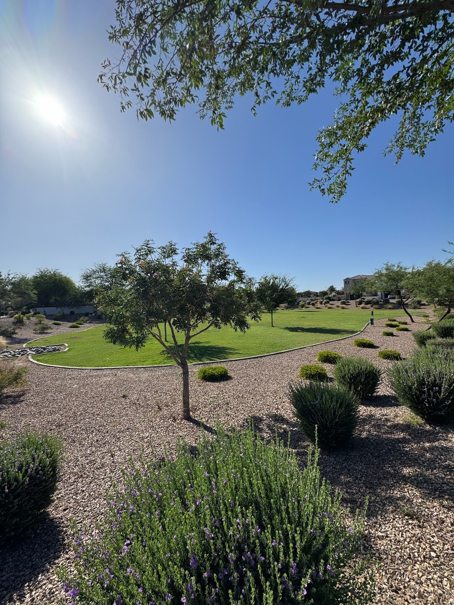 Building Photo - 277 E Azalea Dr
