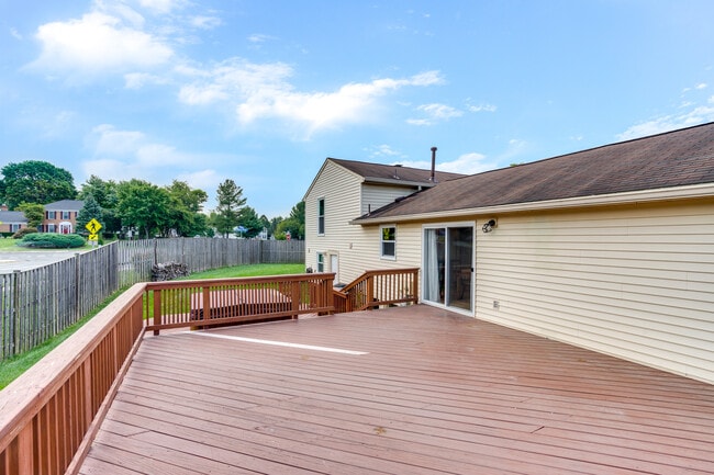 Backyard - 5471 Braddock Ridge Dr