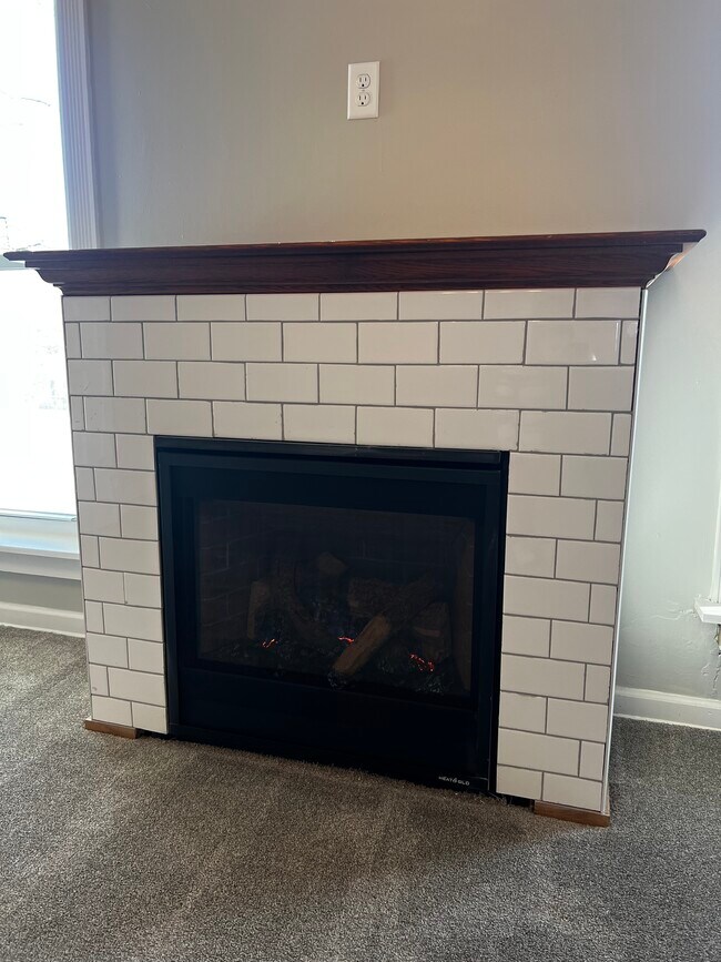 Gas Fireplace - 125 Litchfield Ave SE