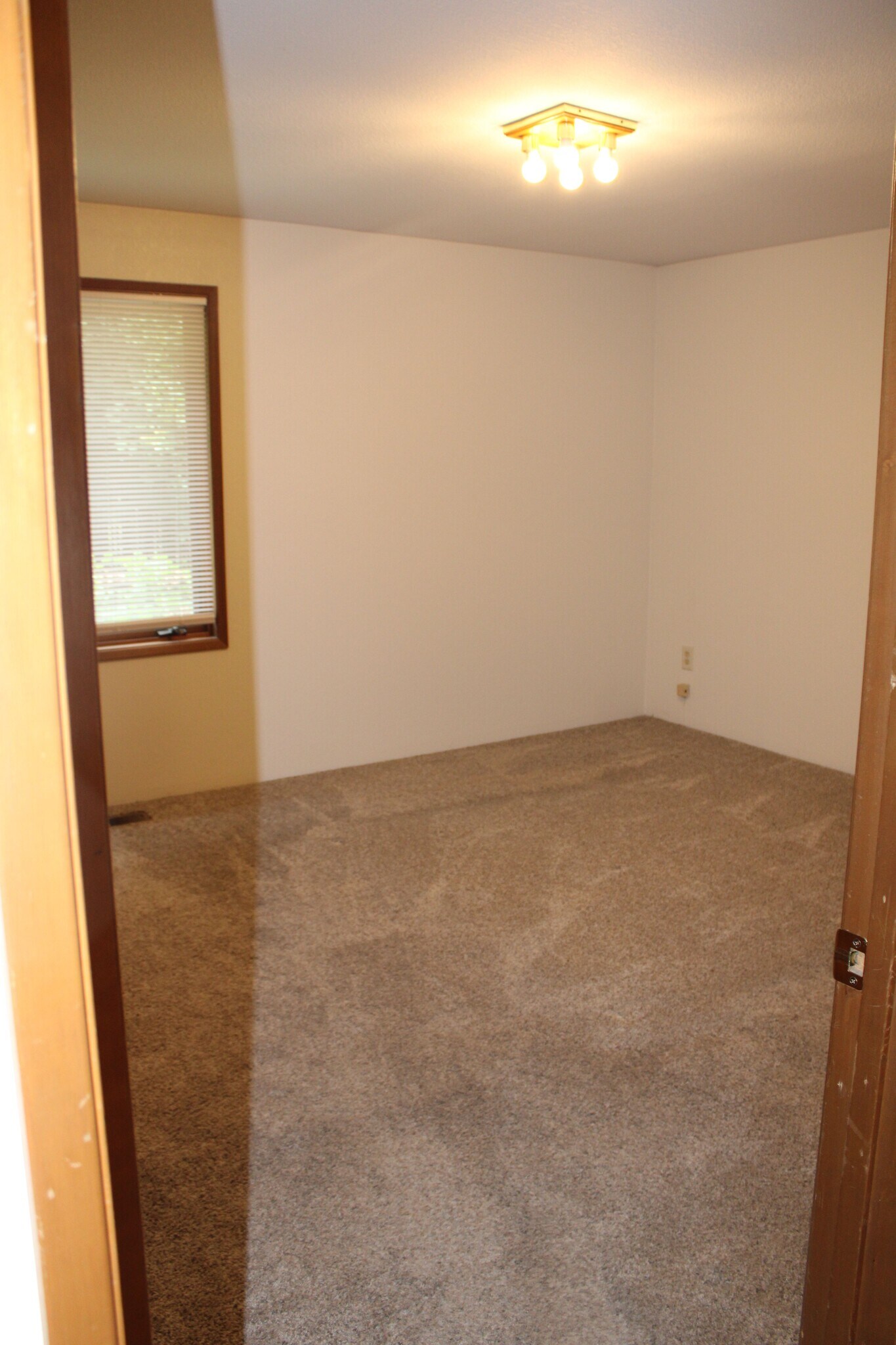 Building Photo - 1516 Woodhaven Pl