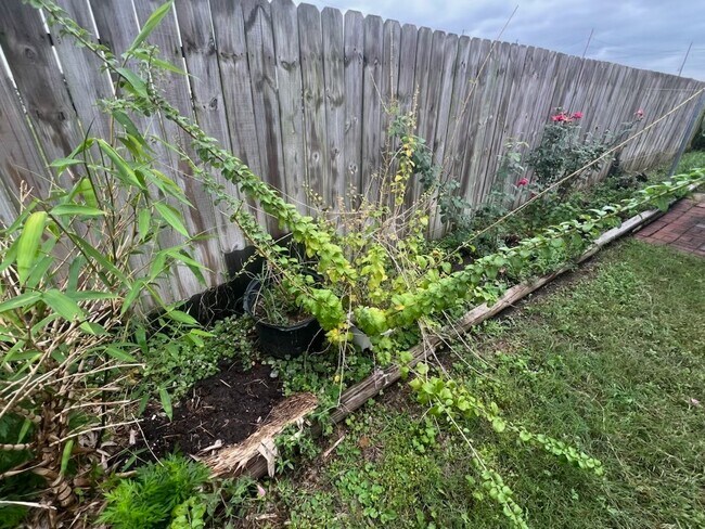 Building Photo - 21839 Manitou Falls Ln