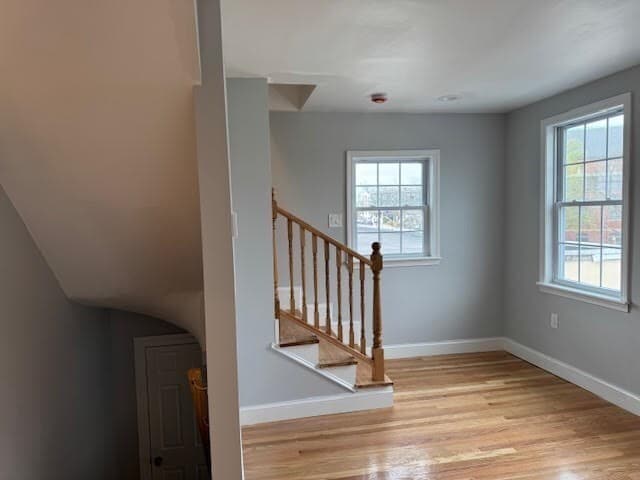 Building Photo - 1553 Blue Hill Ave