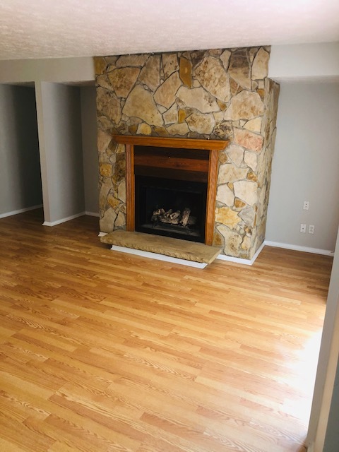 Gas fireplace - 514 River Mill Cir