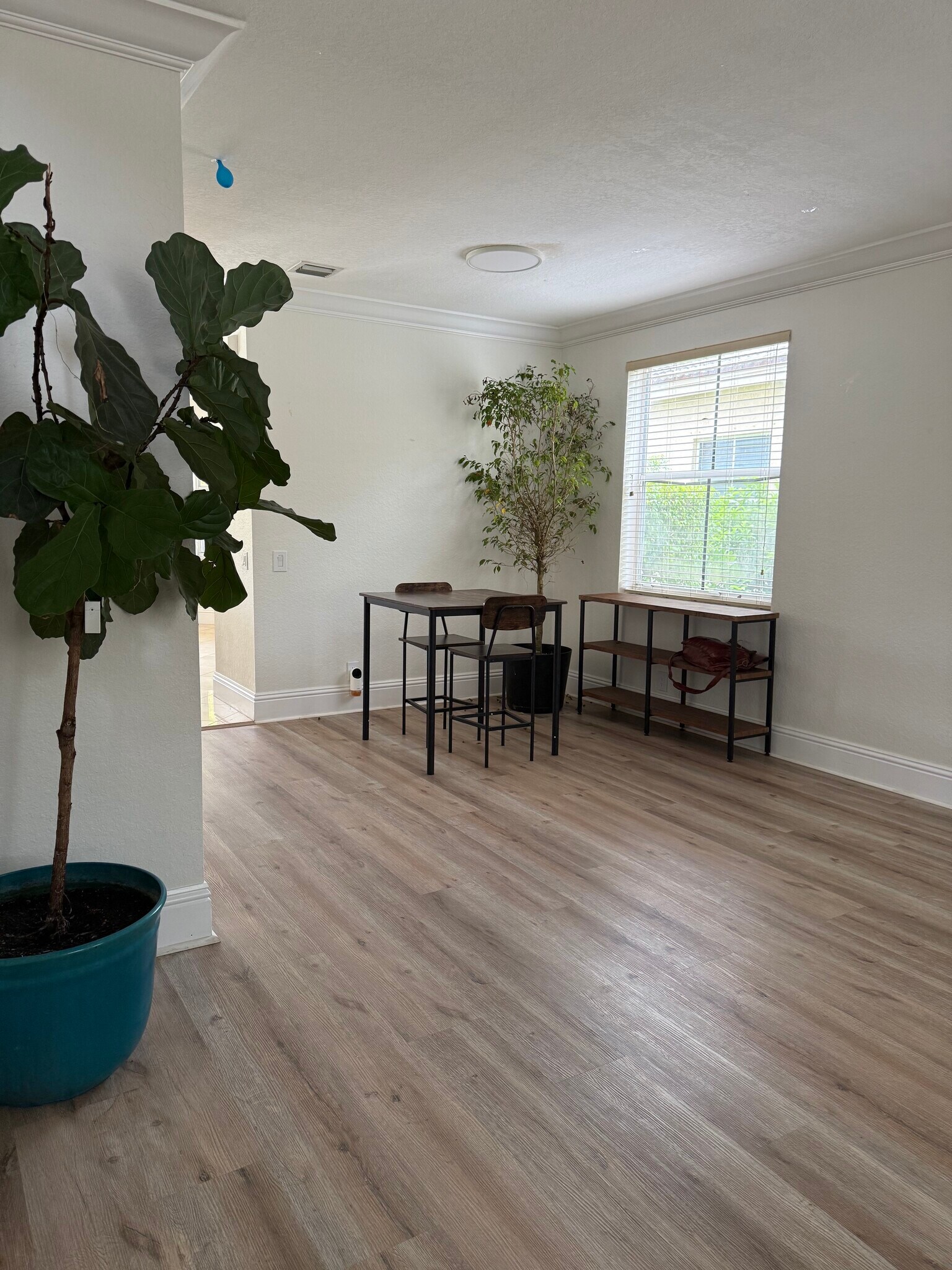 Building Photo - 947 Nandina Drive