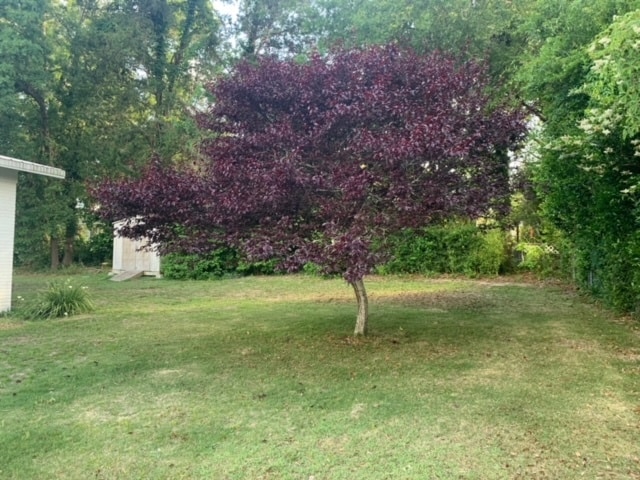 Building Photo - 3815 Gerhardt Dr