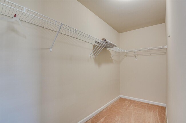 Building Photo - 1543 Driftwood Ln