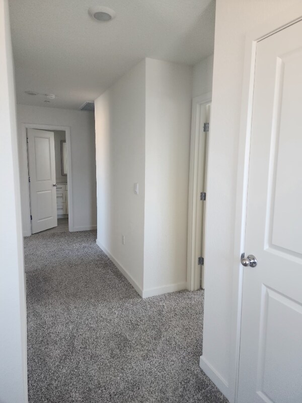 Building Photo - 2081 Blue Star Dr
