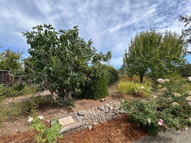 Building Photo - 8280 Oakmont Dr