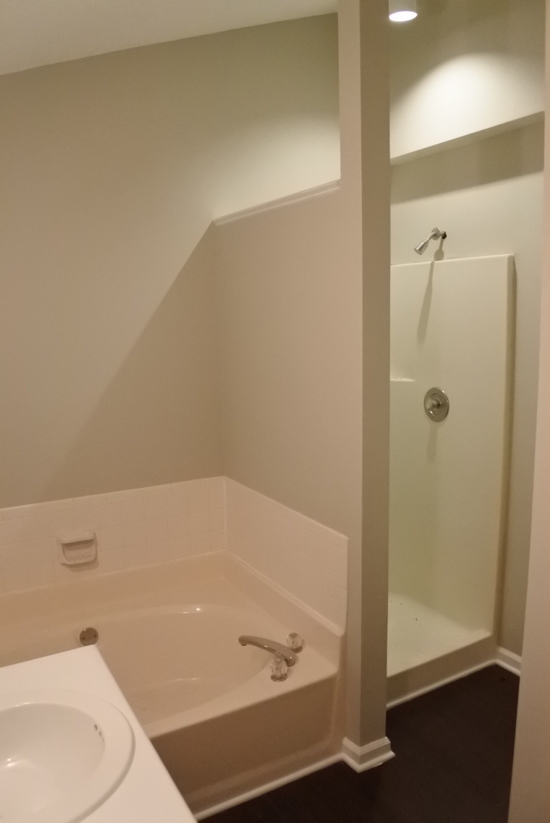 Master bathroom / separate shower and full bathtub - 3521 Greywood Drive