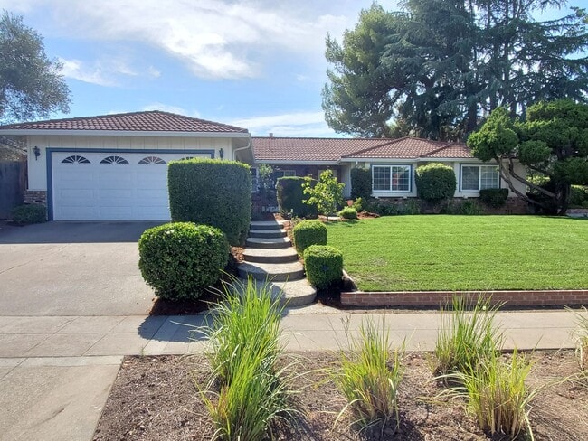 Primary Photo - Spacious Remodeled Home, A/C, New Yards, Wood Floors, Great Location, Monta Vista!