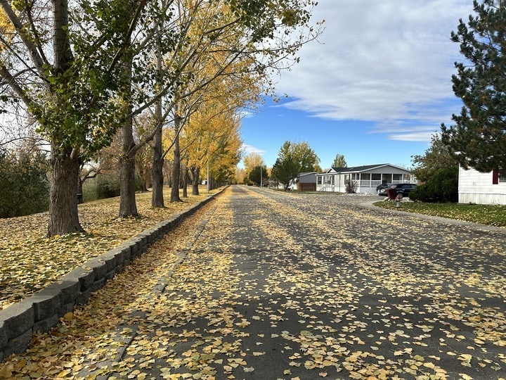 Building Photo - 29 Hartland St N