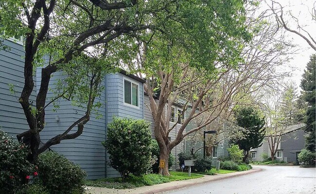 Primary Photo - 36 Emery Bay Dr