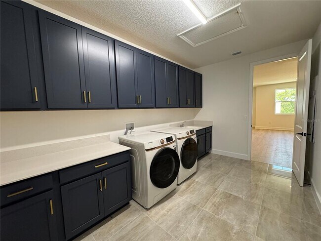 Building Photo - 17342 Glossy Pomelo Wy