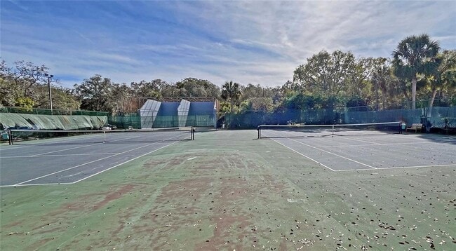 Building Photo - 4207 Winding Moss Trail