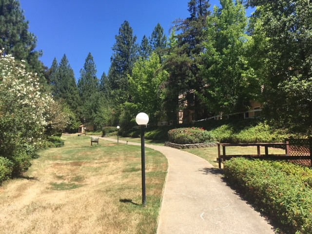 Primary Photo - Sunrise Garden Apartments