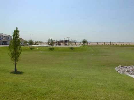 Building Photo - Beautiful Remodeled 3 bed, 2 bath home in convenient El Mirage neighborhood!
