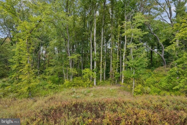 Building Photo - 81 Southwind Dr