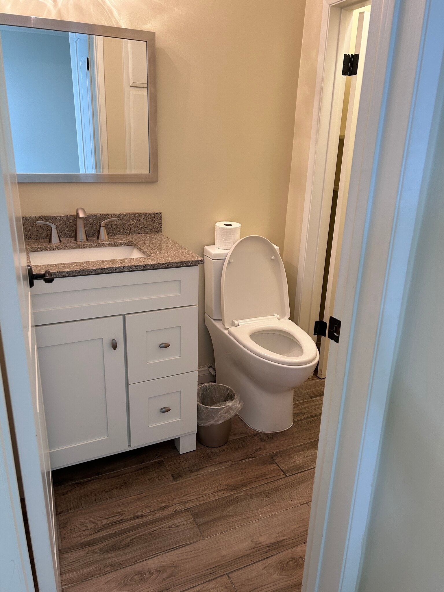 Downstairs half bath - 975 S Idaho St