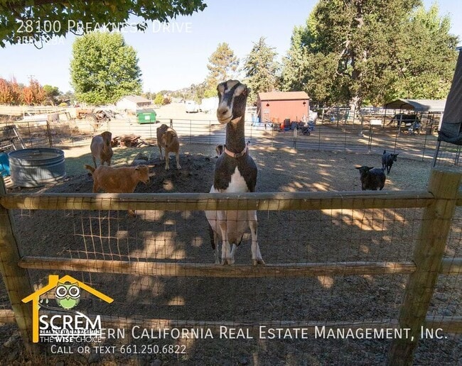 Building Photo - 28100 Preakness Dr