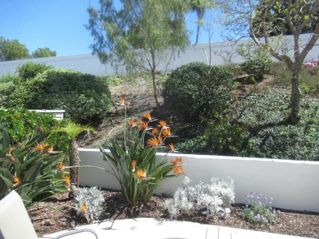 Building Photo - 6033 Patmos Way