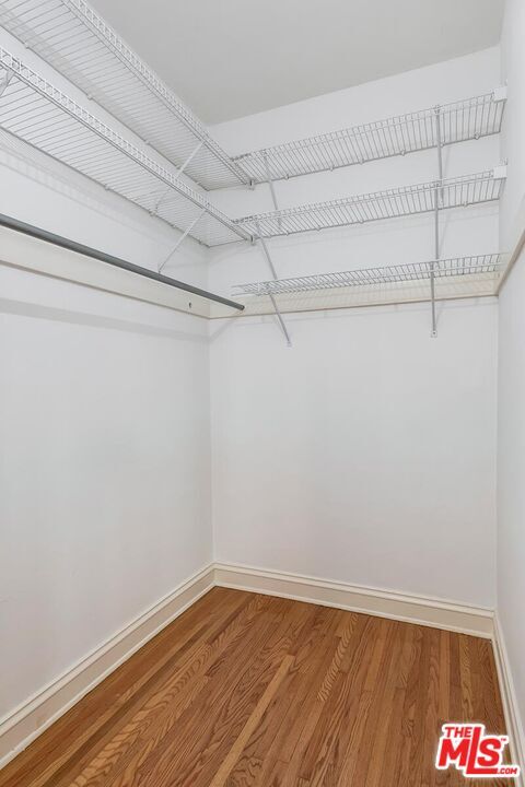 Building Photo - 441 1/2 S Palm Dr