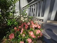 Building Photo - Welcome to this beautifully renovated 2-be...